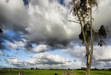 恒大巴尔德斯成为中超联赛最佳进球手