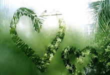 篮球教练发布在线训练视频，鼓励球迷保持锻炼