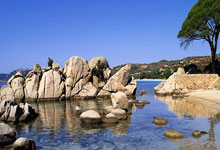 恒大巴尔德斯成为中超联赛最佳进球手