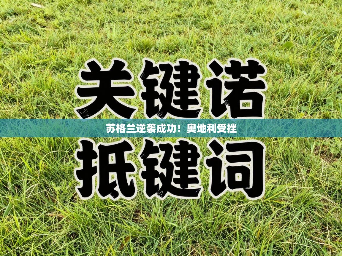 苏格兰逆袭成功！奥地利受挫  第2张